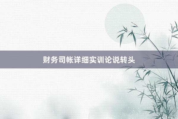 财务司帐详细实训论说转头